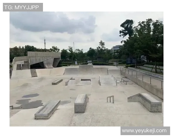 杭州滑板队的阵地战揭秘：如何在城市中打造滑板文化新热点